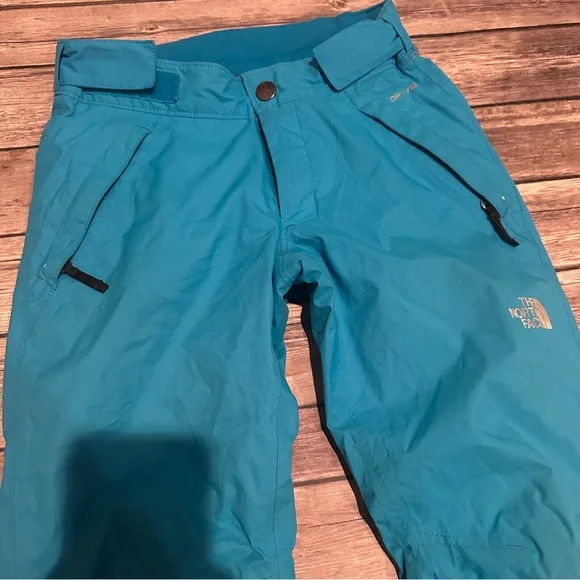 North face blue snow pants